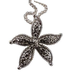 Vintage Silver Tone Starfish Pendant Brooch Figaro Necklace Set 18" Nautical